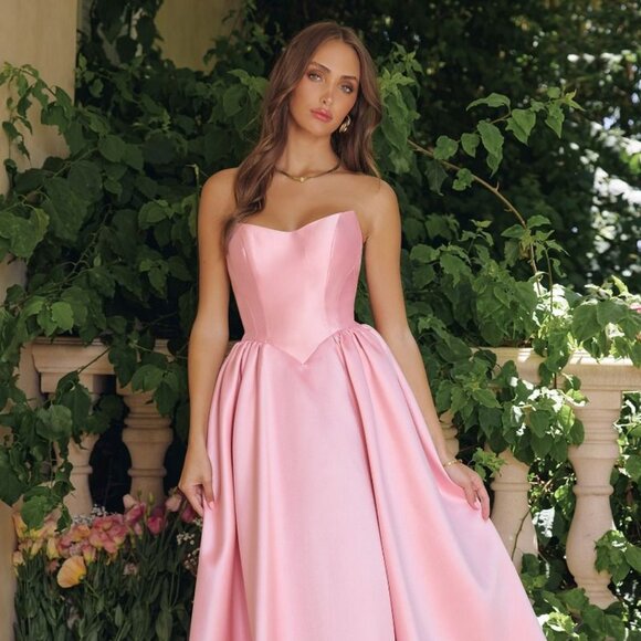 New Rose Pink Fit & Flare Formal Gown w/ Basque Waistline & Lace Up Back CD T822 - Picture 4 of 9